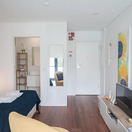 Sunflower Luxury Loft W Ac Downtown And Metro Apartamento *