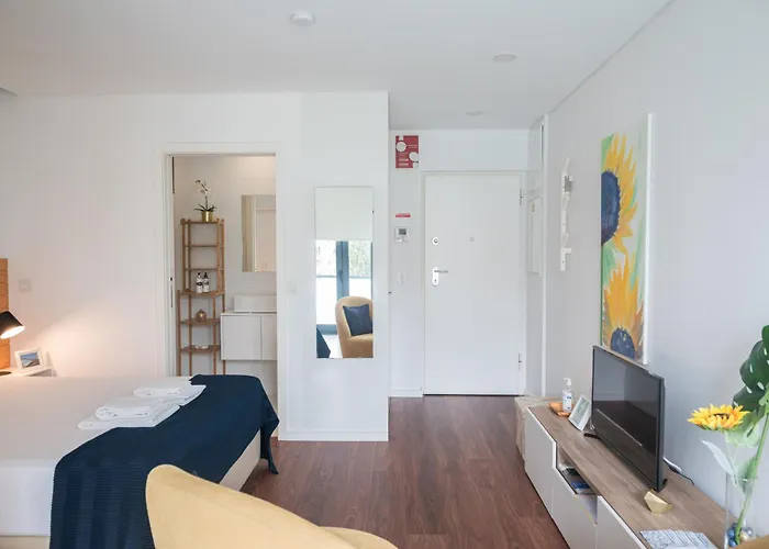 Sunflower Luxury Loft W Ac Downtown And Metro Апартаменты *